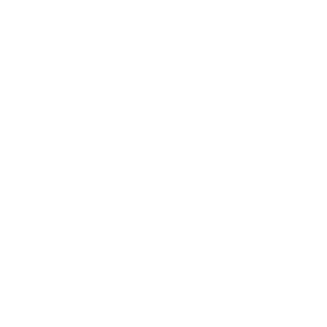 Rocha
